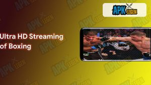 Boxing Live Stream 3